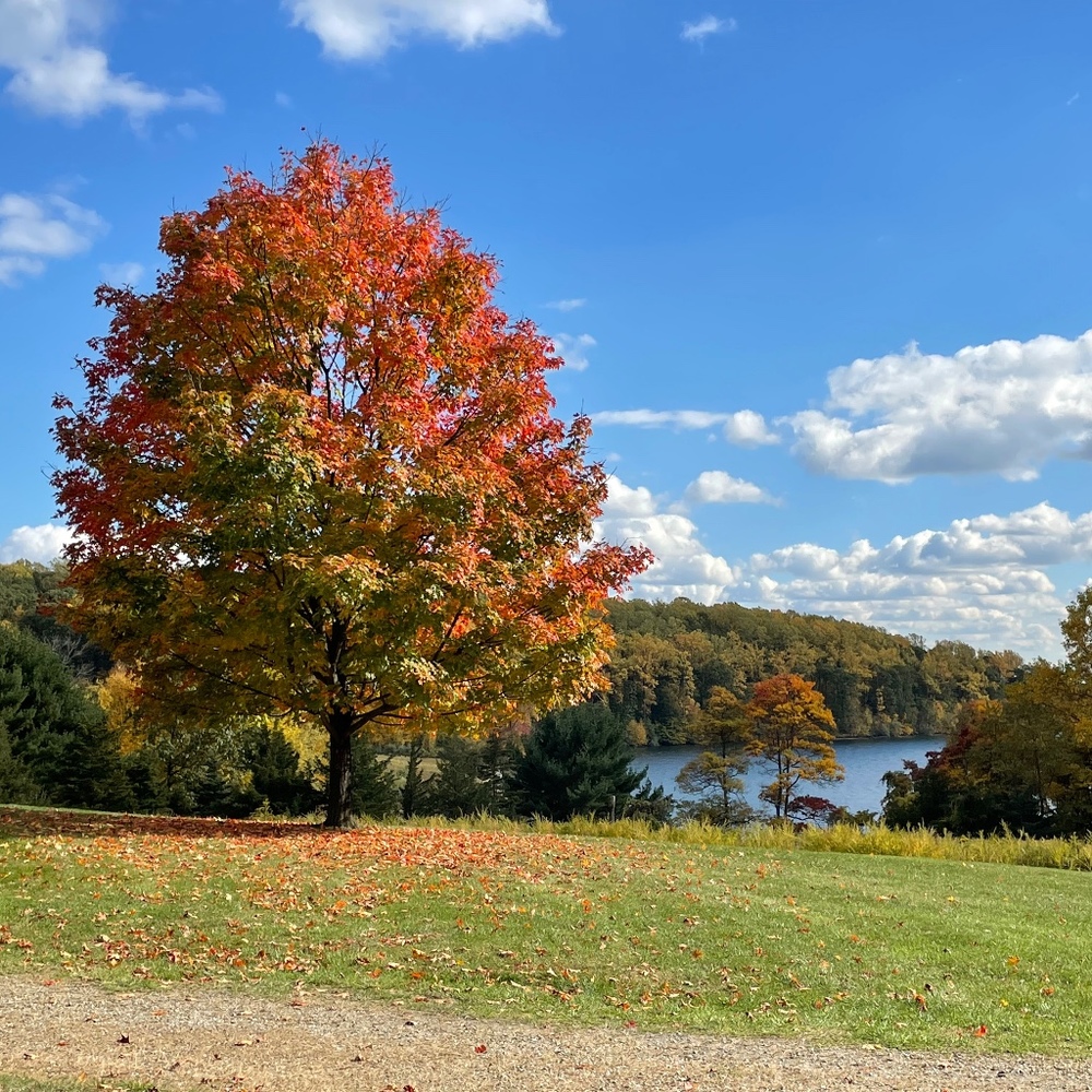 Meet your Posher, Tony